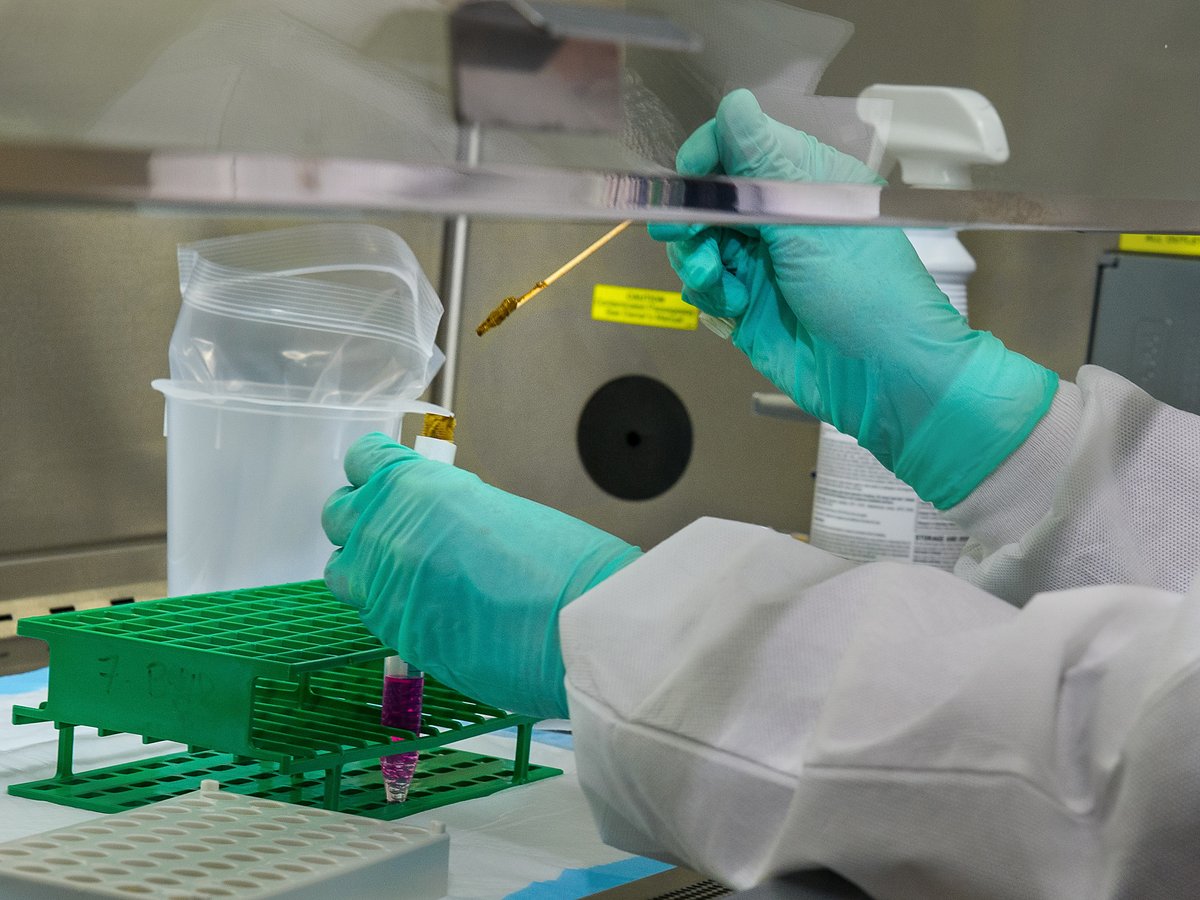 Cabina de bioseguridad Sabella: trabajo en área controlada y validación de equipos